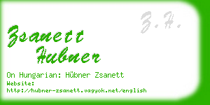 zsanett hubner business card